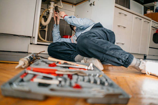  Webster, FL Plumbing Pros