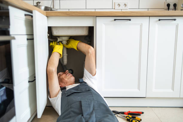 Best Affordable Plumbing Services  in Webster, FL