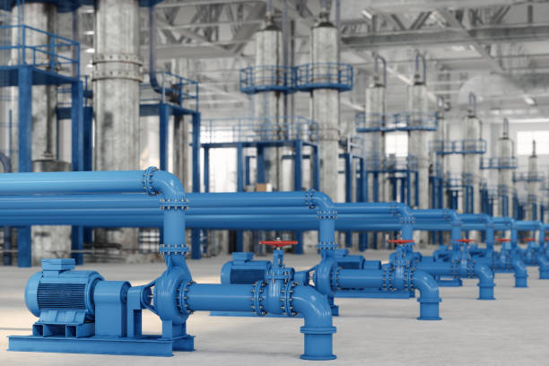 Best Local Plumber Services  in Webster, FL