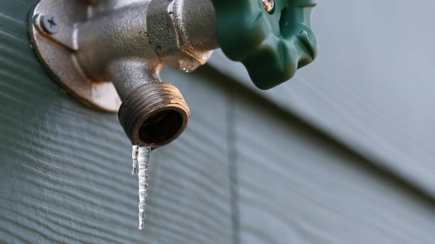 Best Water Leak Repair  in Webster, FL