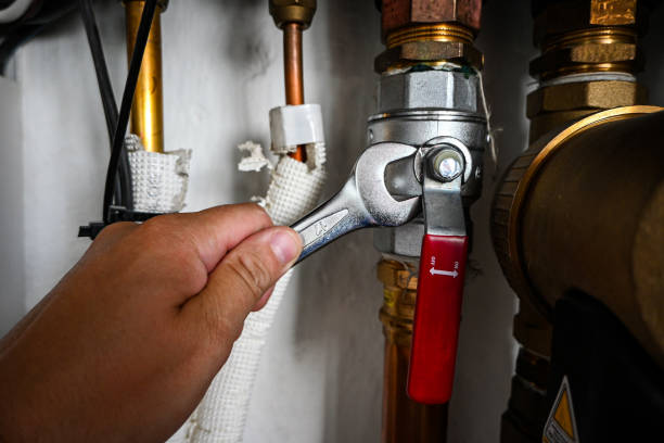 Best Residential Plumbing Services  in Webster, FL